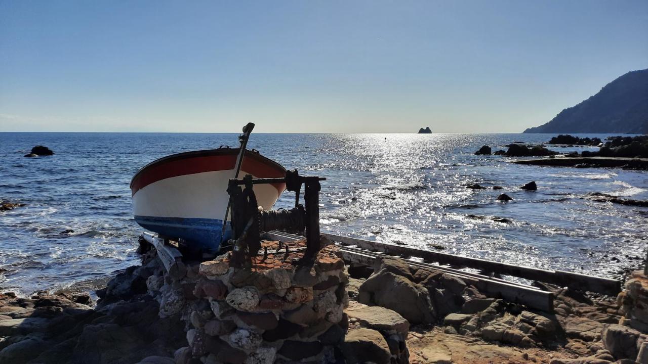Les Bois Flottes . Plage De La Verne La Seyne-sur-Mer Extérieur photo