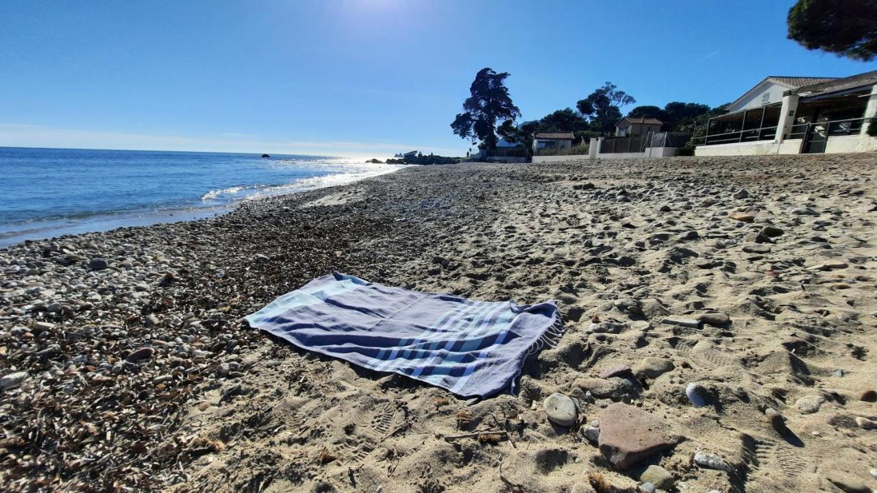 Les Bois Flottes . Plage De La Verne La Seyne-sur-Mer Extérieur photo