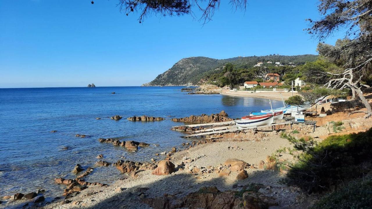 Les Bois Flottes . Plage De La Verne La Seyne-sur-Mer Extérieur photo