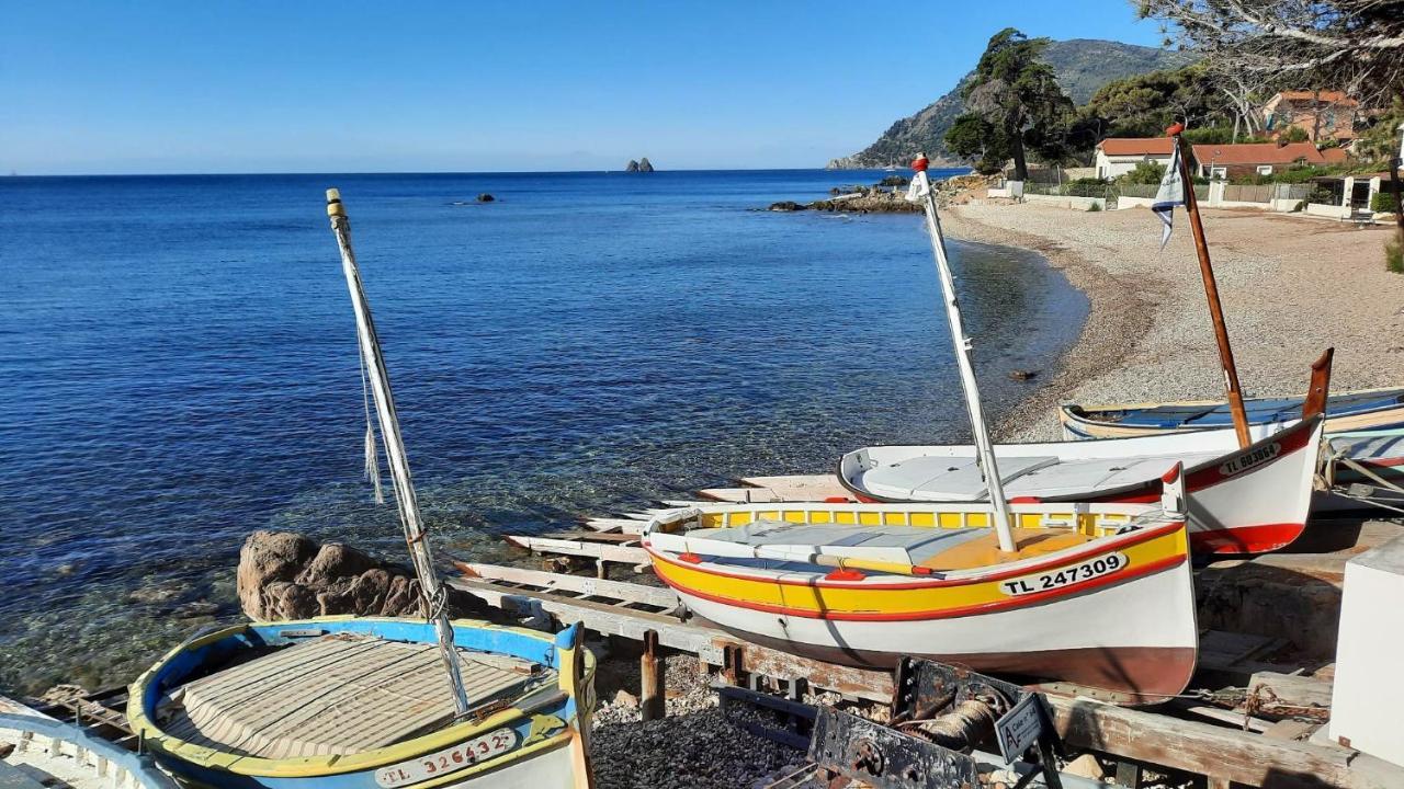 Les Bois Flottes . Plage De La Verne La Seyne-sur-Mer Extérieur photo